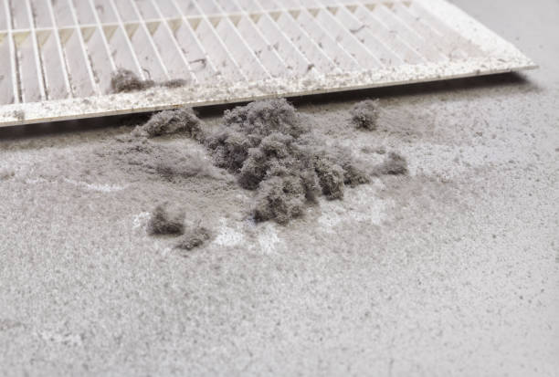 Best Local Air Duct Cleaning Services  in Port Angeles East, WA