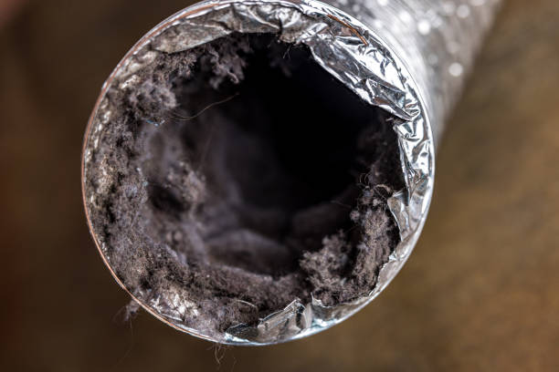 Best Air Duct Cleaning Near Me in Port Angeles East, WA